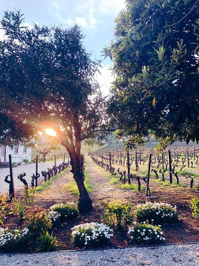 Morgadio Da Calcada Douro Wine&Tourism Vendégház Provesende Kültér fotó