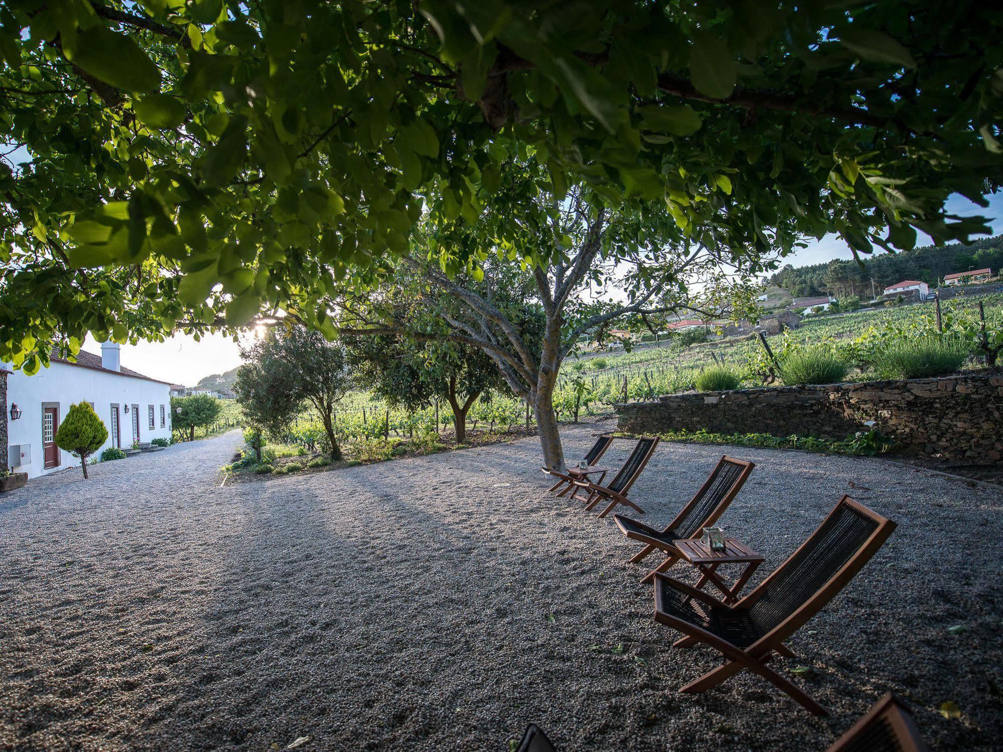 Morgadio Da Calcada Douro Wine&Tourism Vendégház Provesende Kültér fotó